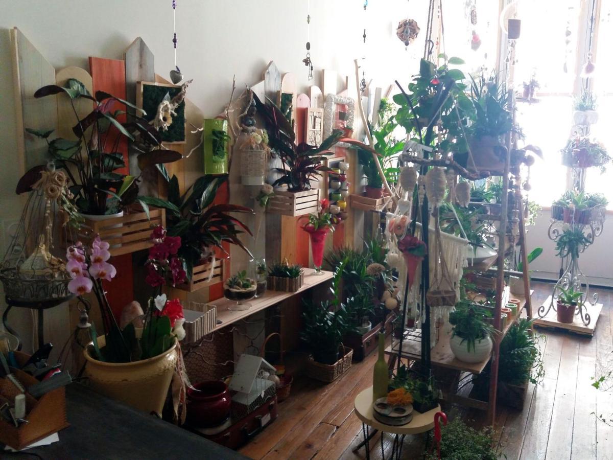 Les Terrasses De Saillans Bed & Breakfast Saillans  ภายนอก รูปภาพ