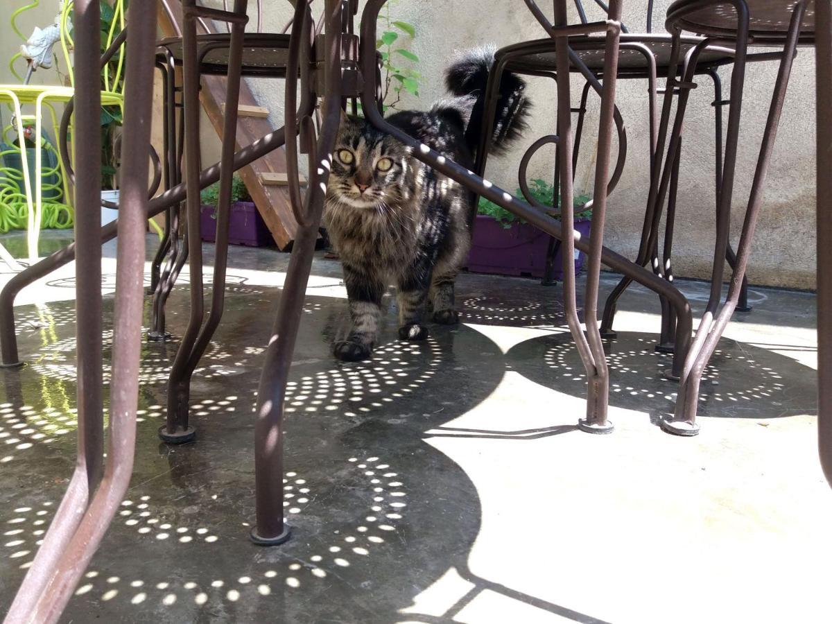 Les Terrasses De Saillans Bed & Breakfast Saillans  ภายนอก รูปภาพ