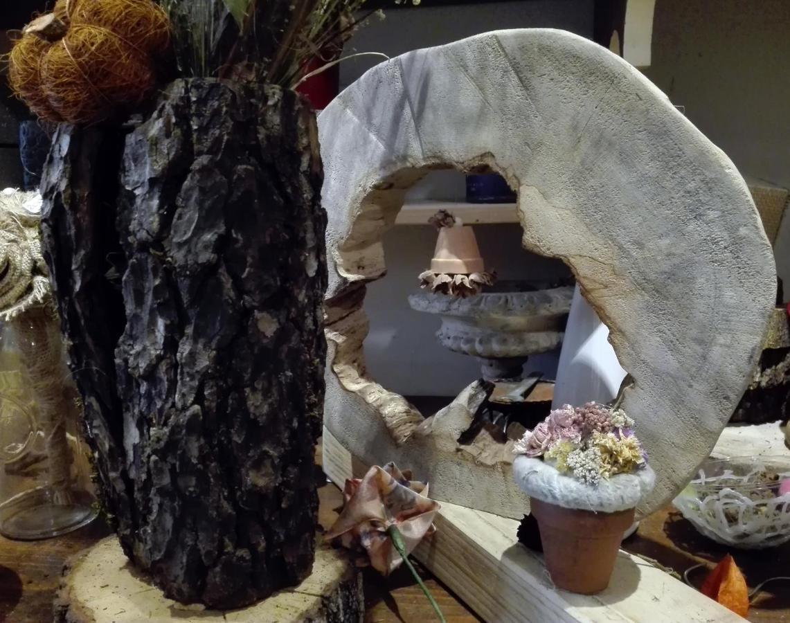 Les Terrasses De Saillans Bed & Breakfast Saillans  ภายนอก รูปภาพ
